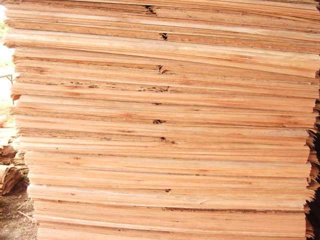 Ván lạng gỗ cao su - Rubber Wood